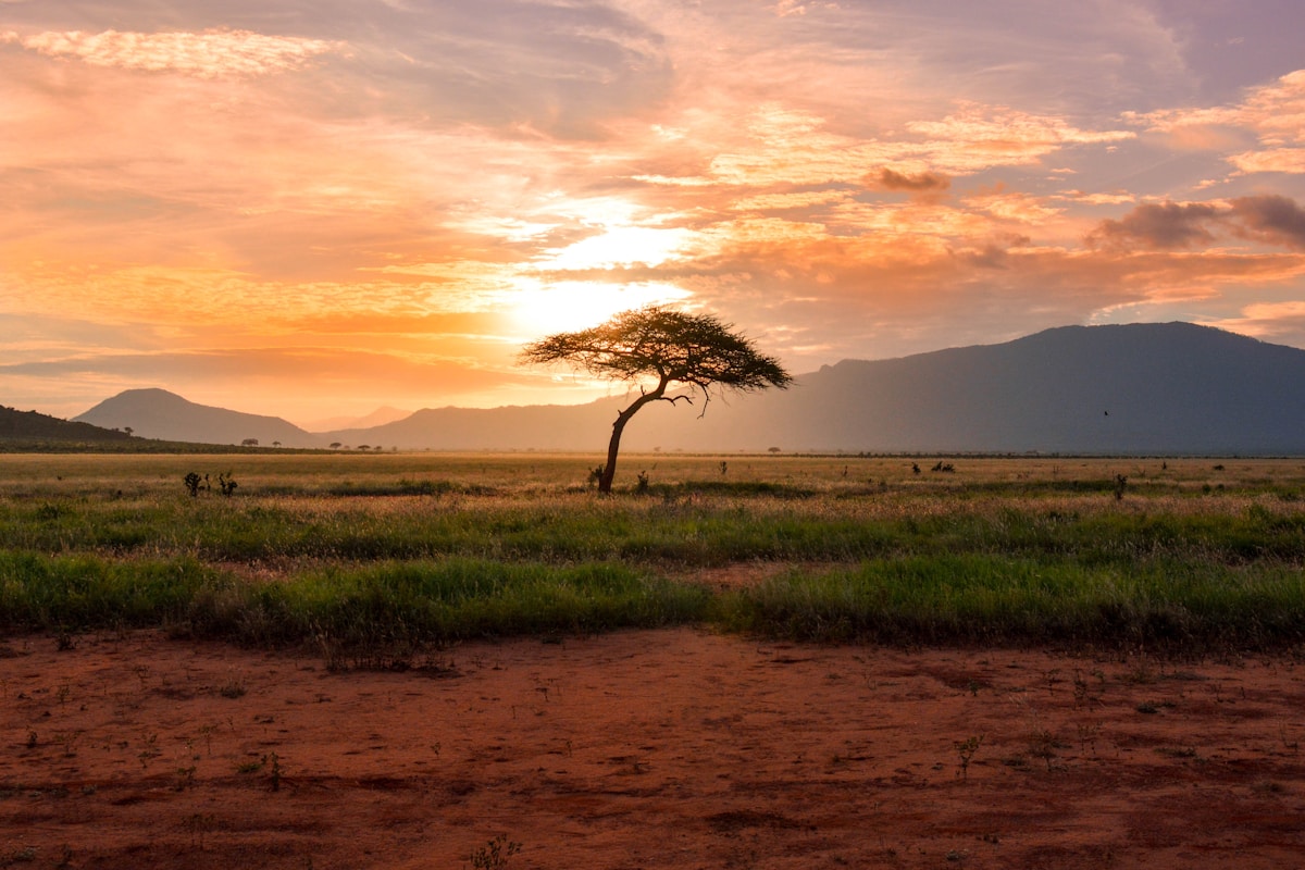Somaliland Newsroom and Culture