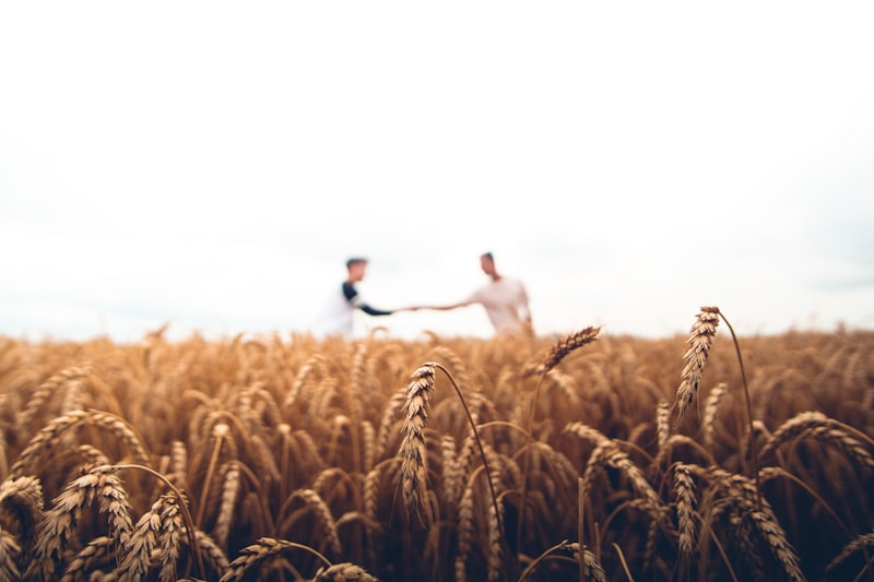 Dryland Agriculture